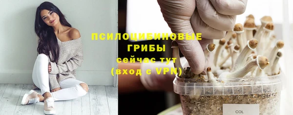 хмурый Алзамай