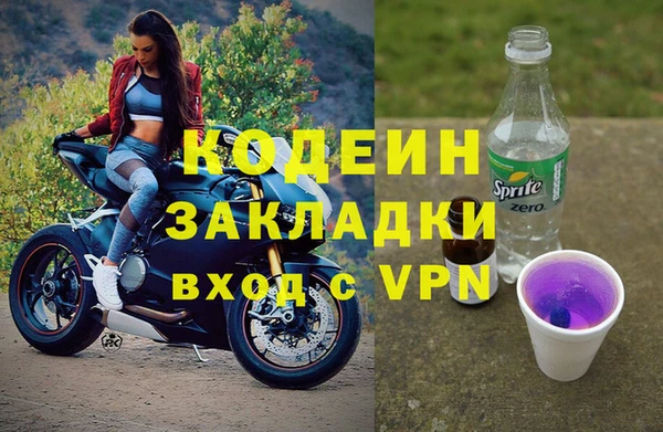 хмурый Алзамай