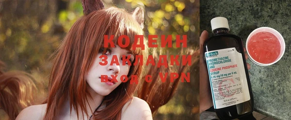 хмурый Алзамай