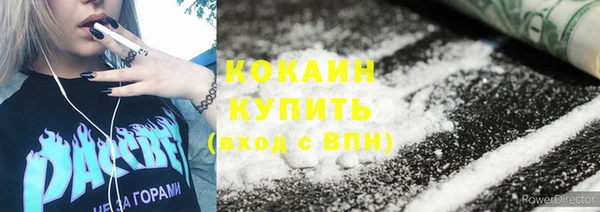хмурый Алзамай