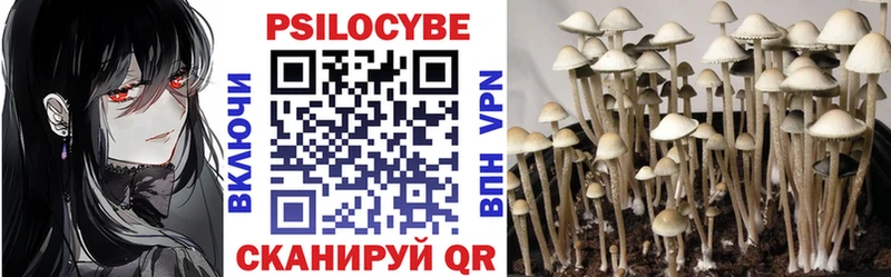 Псилоцибиновые грибы Psilocybe  Дмитров 